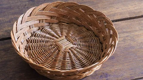 暑期学生游泳比赛再创佳绩！